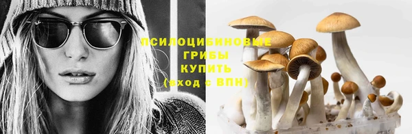не бодяженный Алзамай