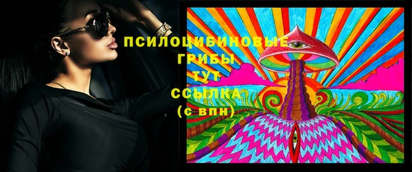 ECSTASY Алексин