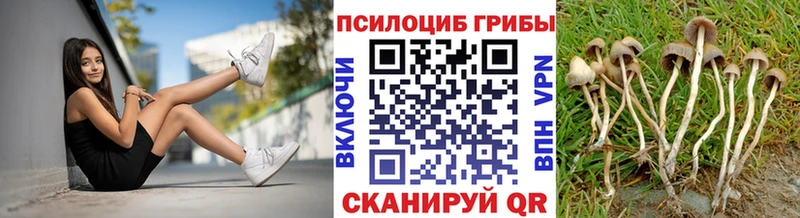 хочу   Нефтекамск  Псилоцибиновые грибы Psilocybine cubensis 