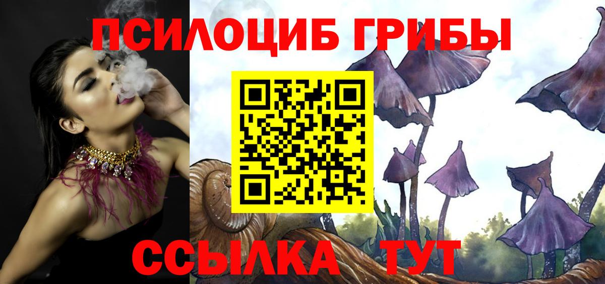 Псилоцибиновые грибы Psilocybe Нефтекамск